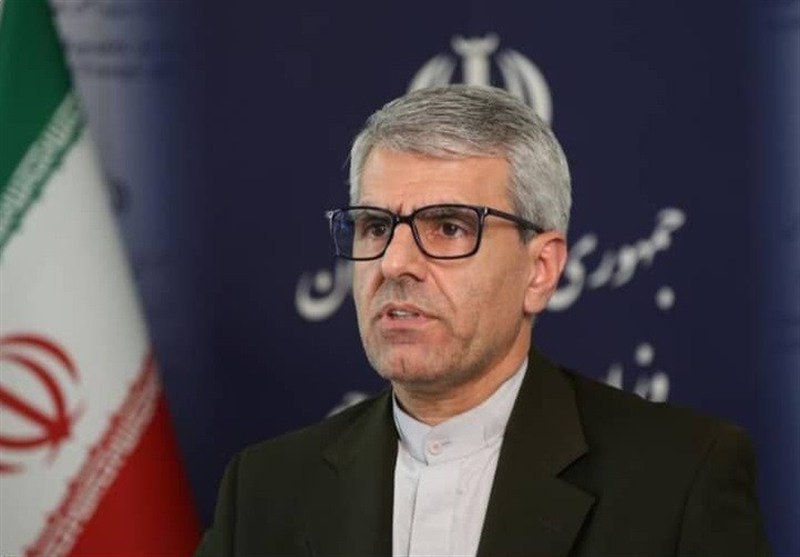 سخنگوی وزارت امور خارجه