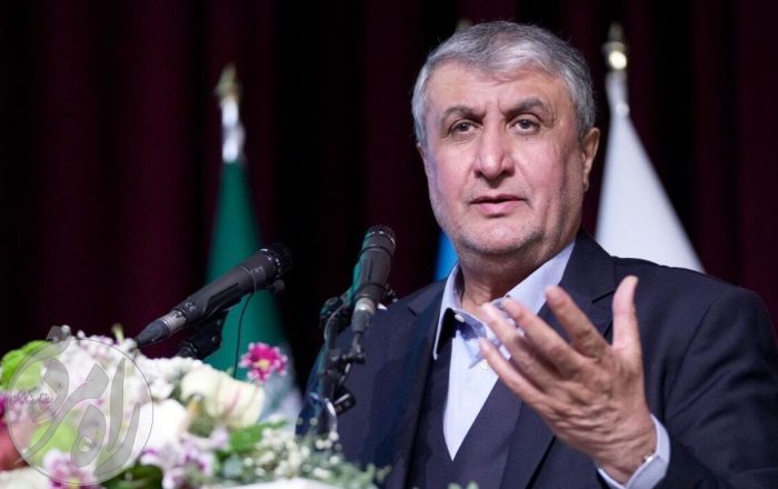 محمد اسلامی در حال سخنرانی در همایش بین‌المللی اکوساید