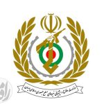 ارائه خدمات مراقبت و توانبخشی برای سالمندان به عنوان بخشی از اقتصاد نقره‌ای